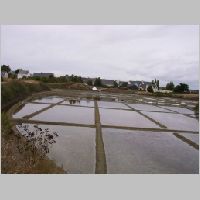 Sallines 13.jpg